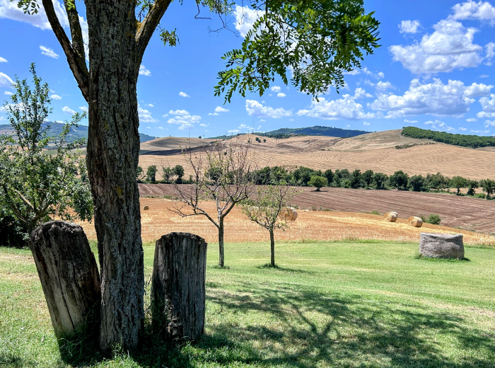 Agriturismo Selvoli